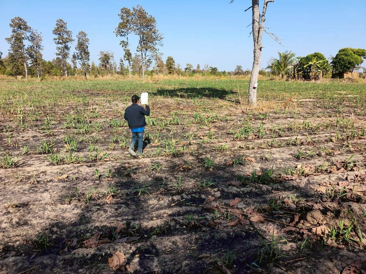 title - วันที่ 10 กุมภาพันธ์ 2569 นายทินกร เพียภูเขียว ปฏิรูปที่ดินจังหวัดอุบลราชธานี มอบหมายให้เจ้าหน้าที่กลุ่มยุทธศาสตร์และการปฏิรูปที่ดิน ลงพื้นที่ตรวจสอบแปลงเกษตรกรรม (สวนอ้อย) ที่มีการตรวจพบว่ามีการเผา จำนวน 2 จุด